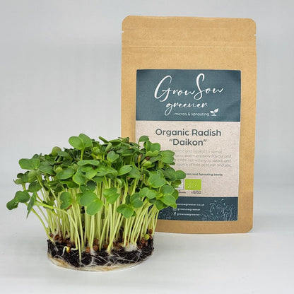 organic daikon radish microgreens growing in front of a pouch of organc microgreen seeds