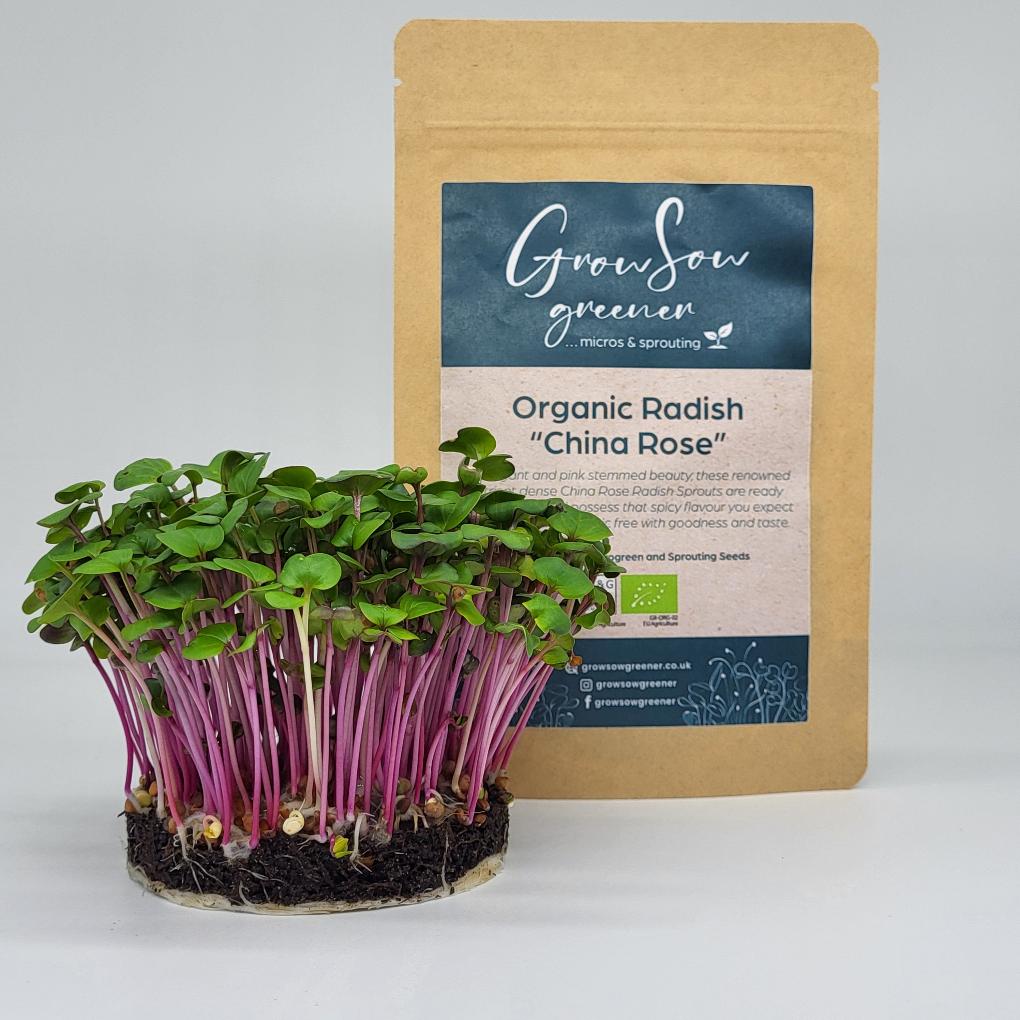 china rose radish microgreens growing in cfront of a pouch of organc china rose microgreen seeds