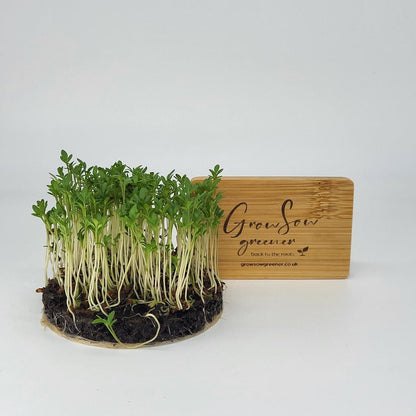 cress growing in front of a wooden logo