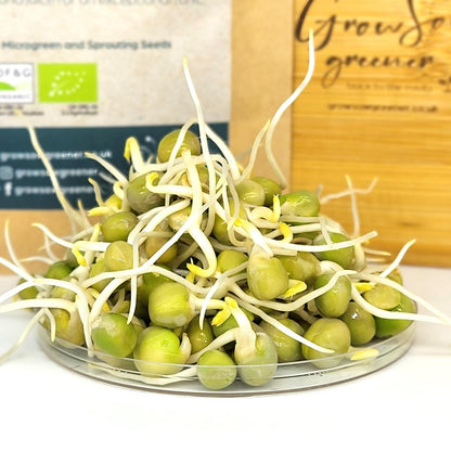 organic green pea sprouts