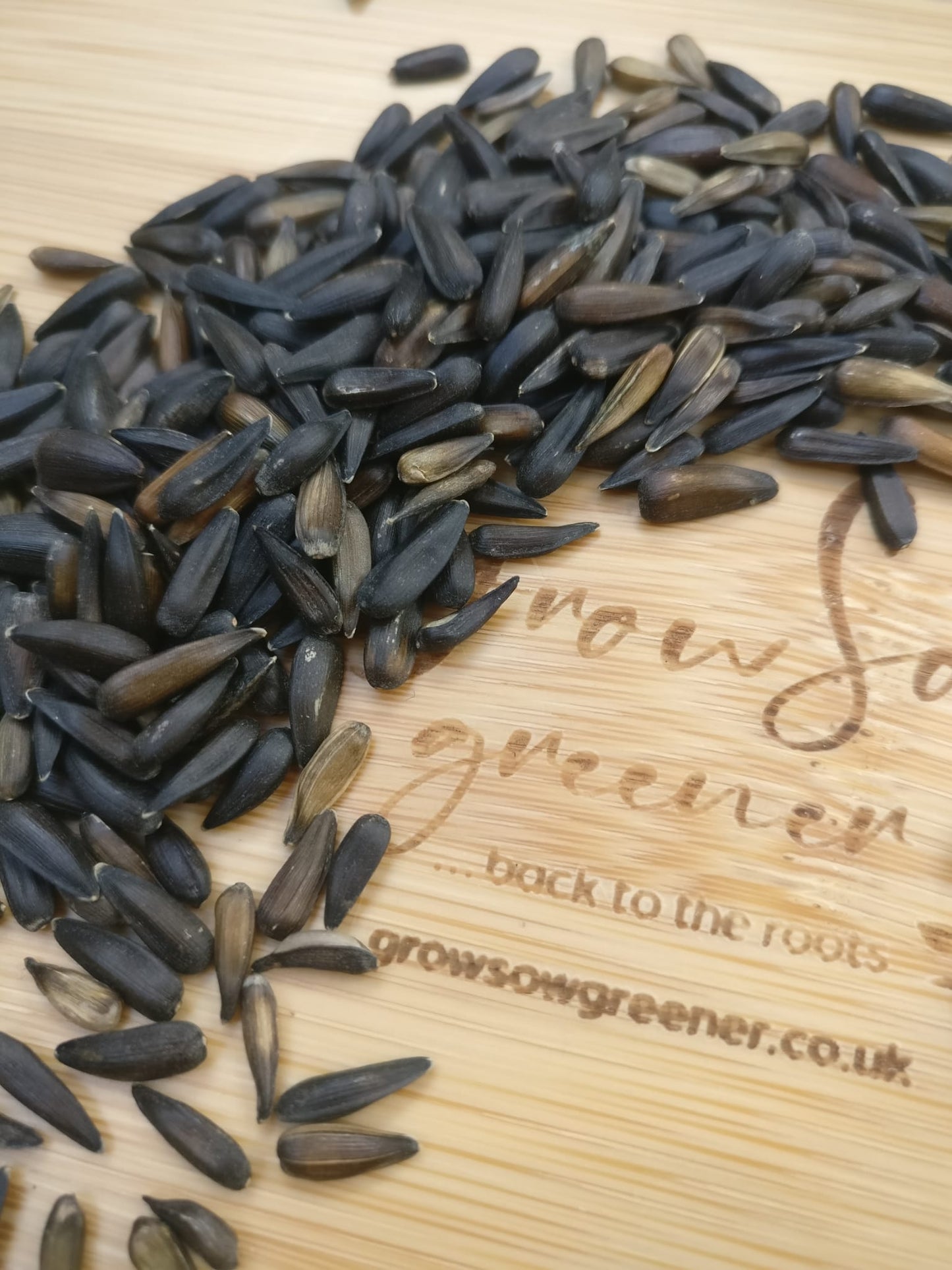 Organic Sunflower Microgreen & Sprouting Seeds - Tiny Seeded