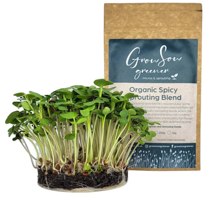 Organic Spicy Sprouting Blend Microgreen & Sprouting Seeds