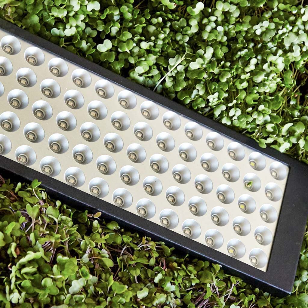 10W UV IR Red Blue LED Panel Light 34cm x 11cm Grow Sow Greener